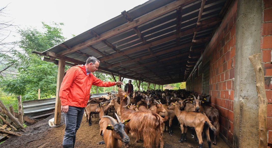 FB_IMG_1761746481387