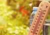Javën e ardhshme “përvëlohet” Kosova, temperatura deri në 38 gradë Celsius