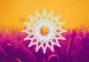 Aktorja e famshme turke ishte në Kosovë, u pa në Sunny Hill Festival (Foto)