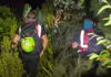 Shpëtohen dy turistë të mitur gjermanë që kishin humbur rrugën në Karaburun
