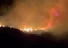 Zjarre në Kutlloc dhe Bajgorë, Peci tregon për ndërhyrjen në terren
